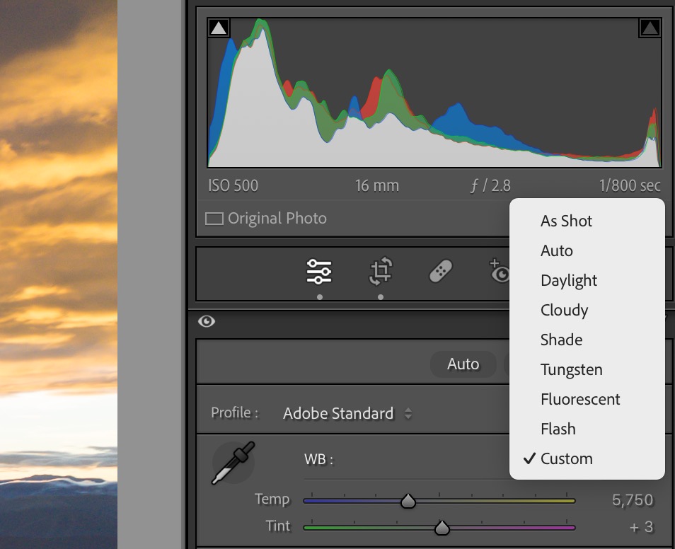 A screenshot of photo editing software displaying histogram and white balance settings.